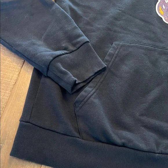 Under Armour Black Hoodie with GREAT DANES UAlbany Dog Logo University at Albany - Picture 3 of 7